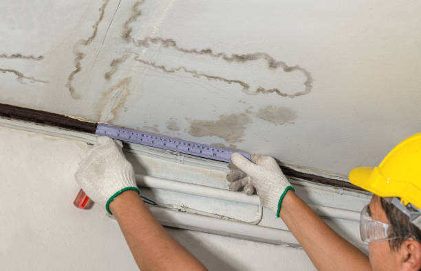 Reliable Water Damage contractor in De Soto, KS by Water Damage Irwin